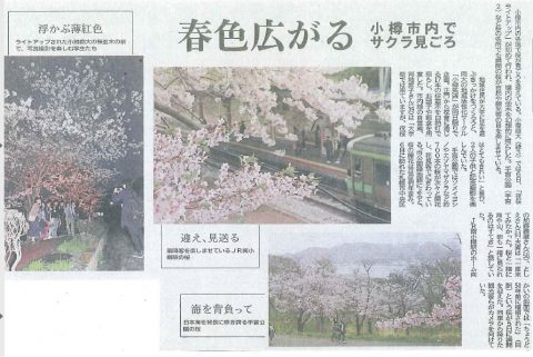 北海道新聞２８年５月７日（朝刊）より抜粋・編集